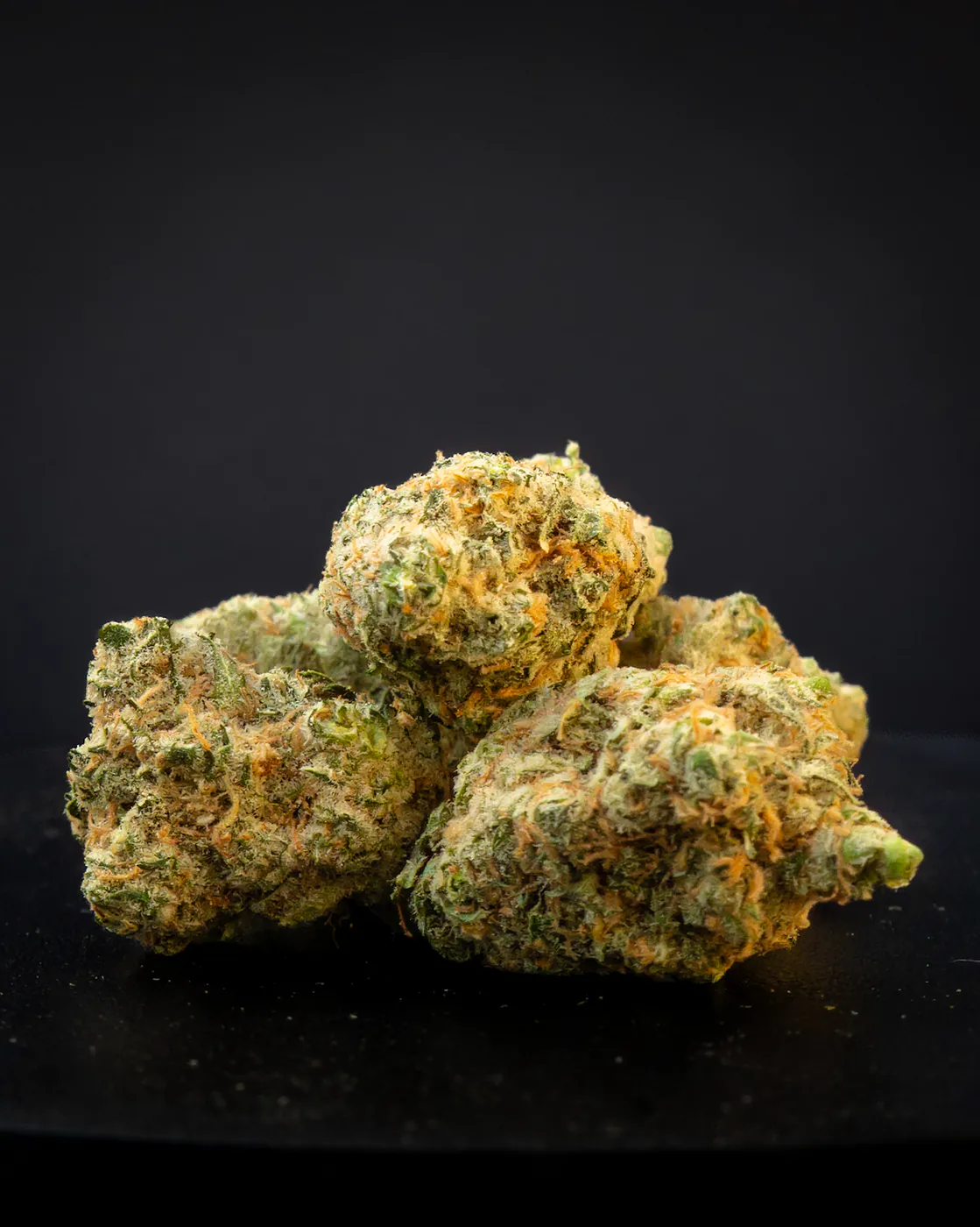 Humboldt Dream flower closeup