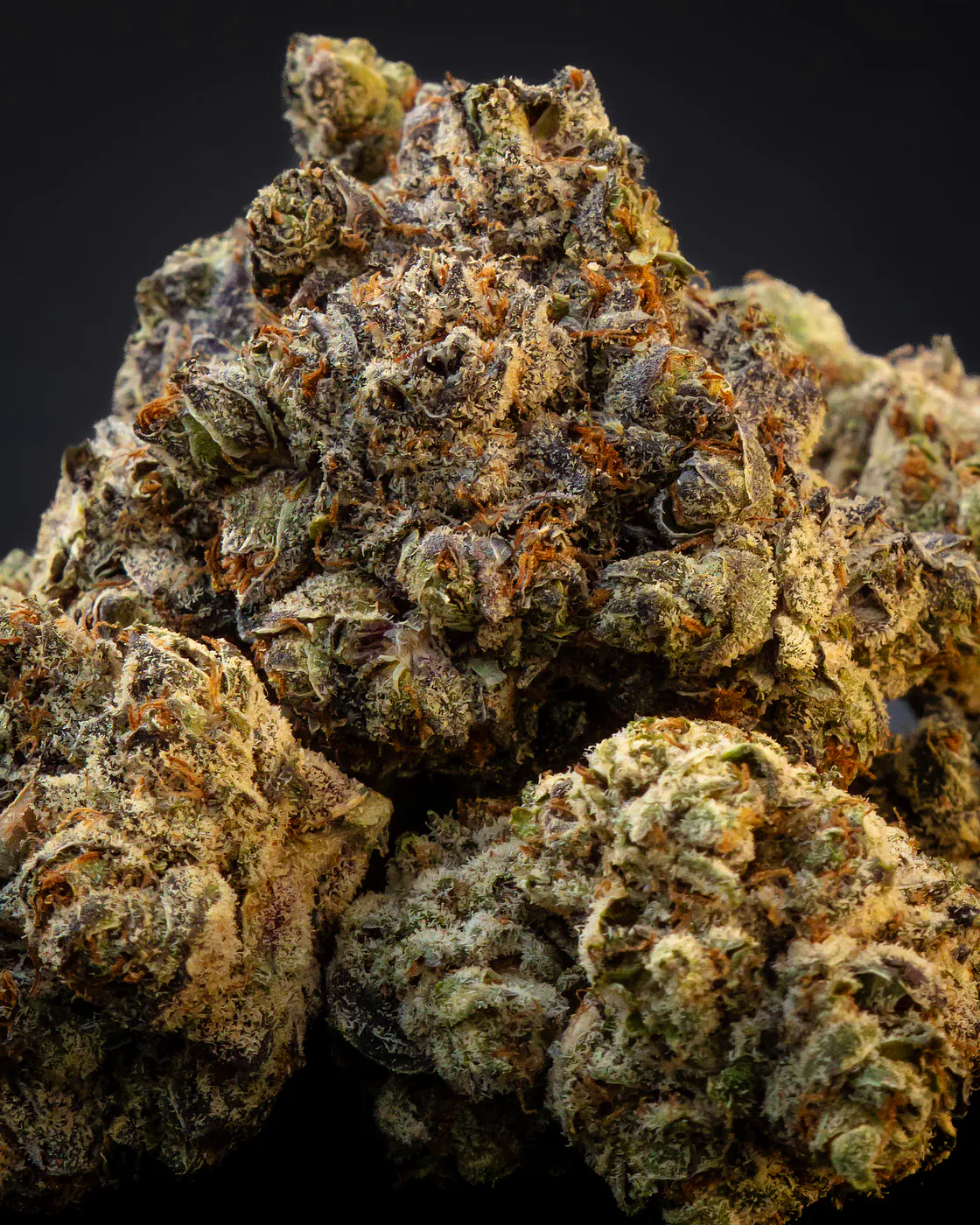 Platinum Gushers cannabis flower
