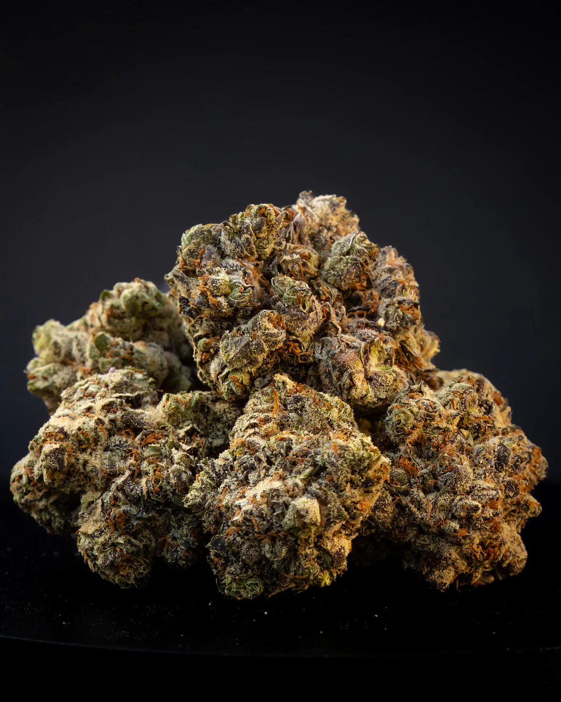 Platinum Gushers flower closeup