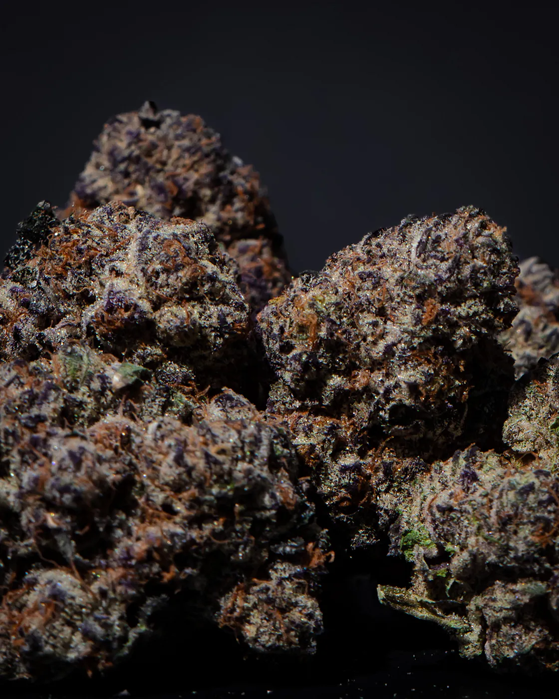 Daiquiri cannabis flower closeup